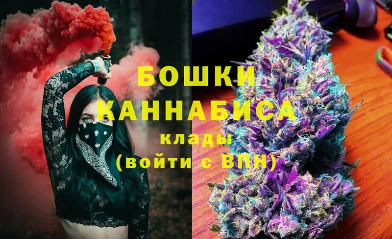 Бошки Шишки индика  купить закладку  Гурьевск 